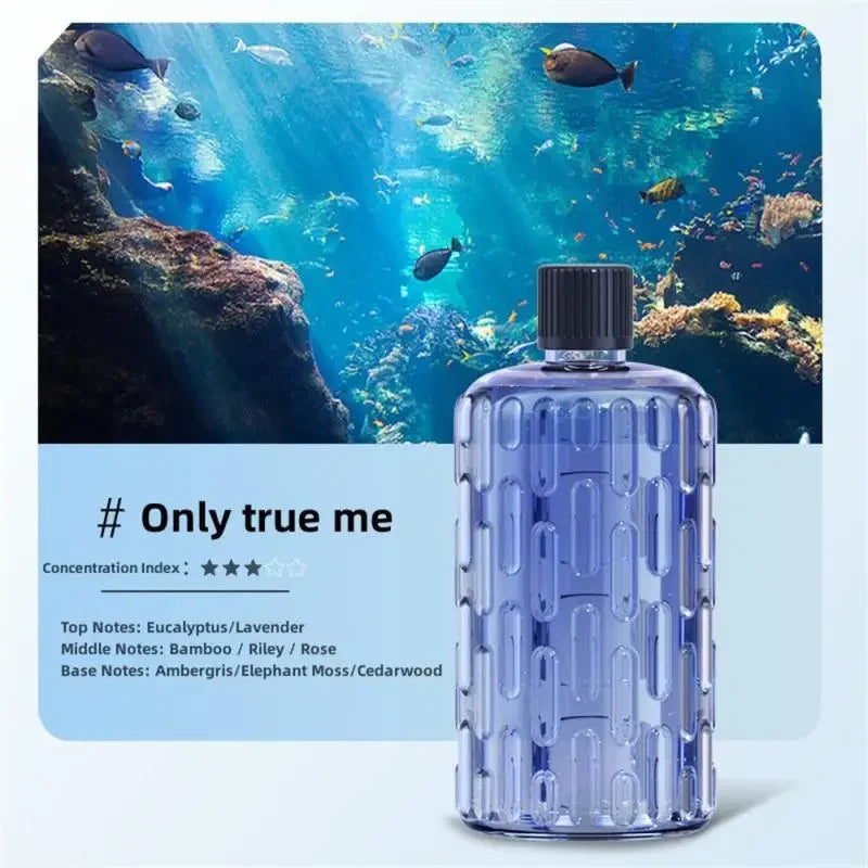 Diffuseur d'Arôme Ultrasonique | Humidificateur Parfum | Déco Chambre Luxe